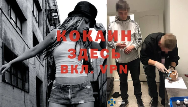 хмурый Алзамай