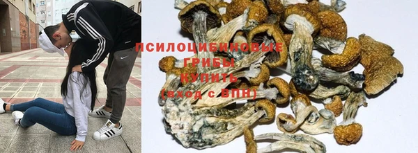стафф Алексеевка