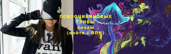 хмурый Алзамай