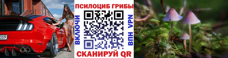 Псилоцибиновые грибы Cubensis  Купить  Бутурлиновка 